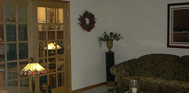 3070 North Trainer Road Rockford, IL 61114 - Photo 4 of 6 a living room with furniture and potted plant