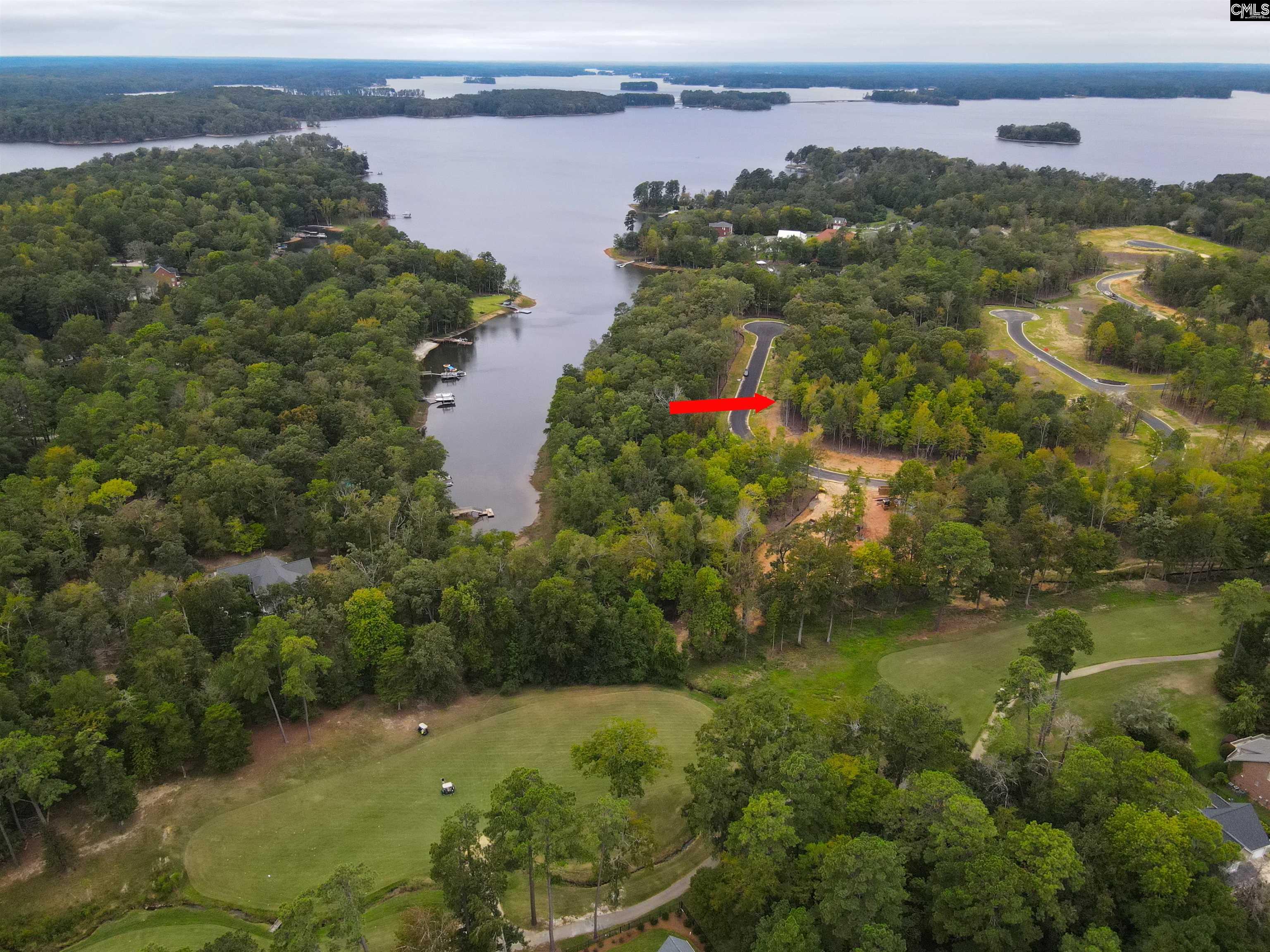 1064 Refuge Place Chapin, SC 29036 - Photo 6 of 20