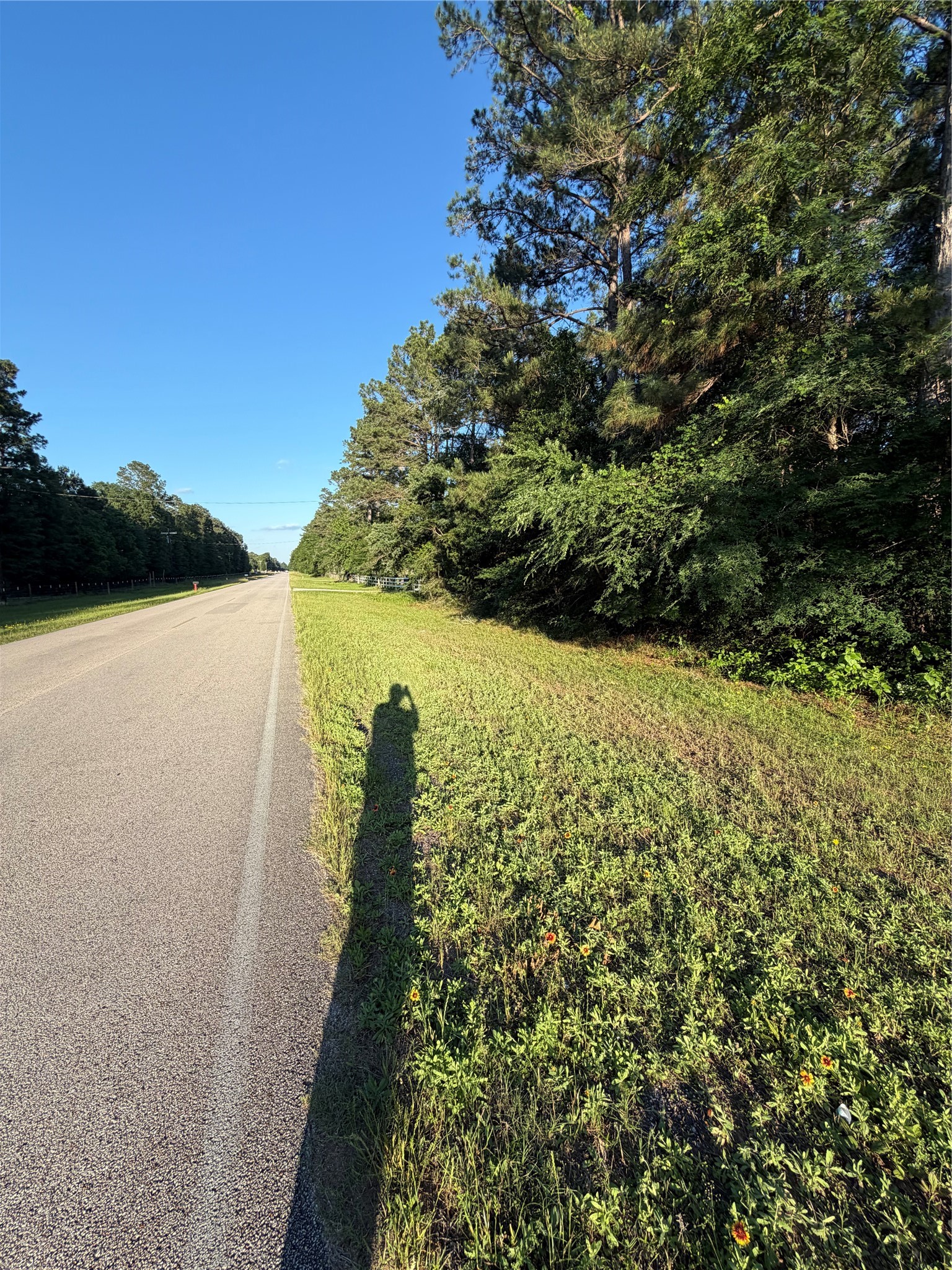 0 Reids Prairie Road Waller, TX 77484 - Photo 2 of 10 a view of a lake with a garden