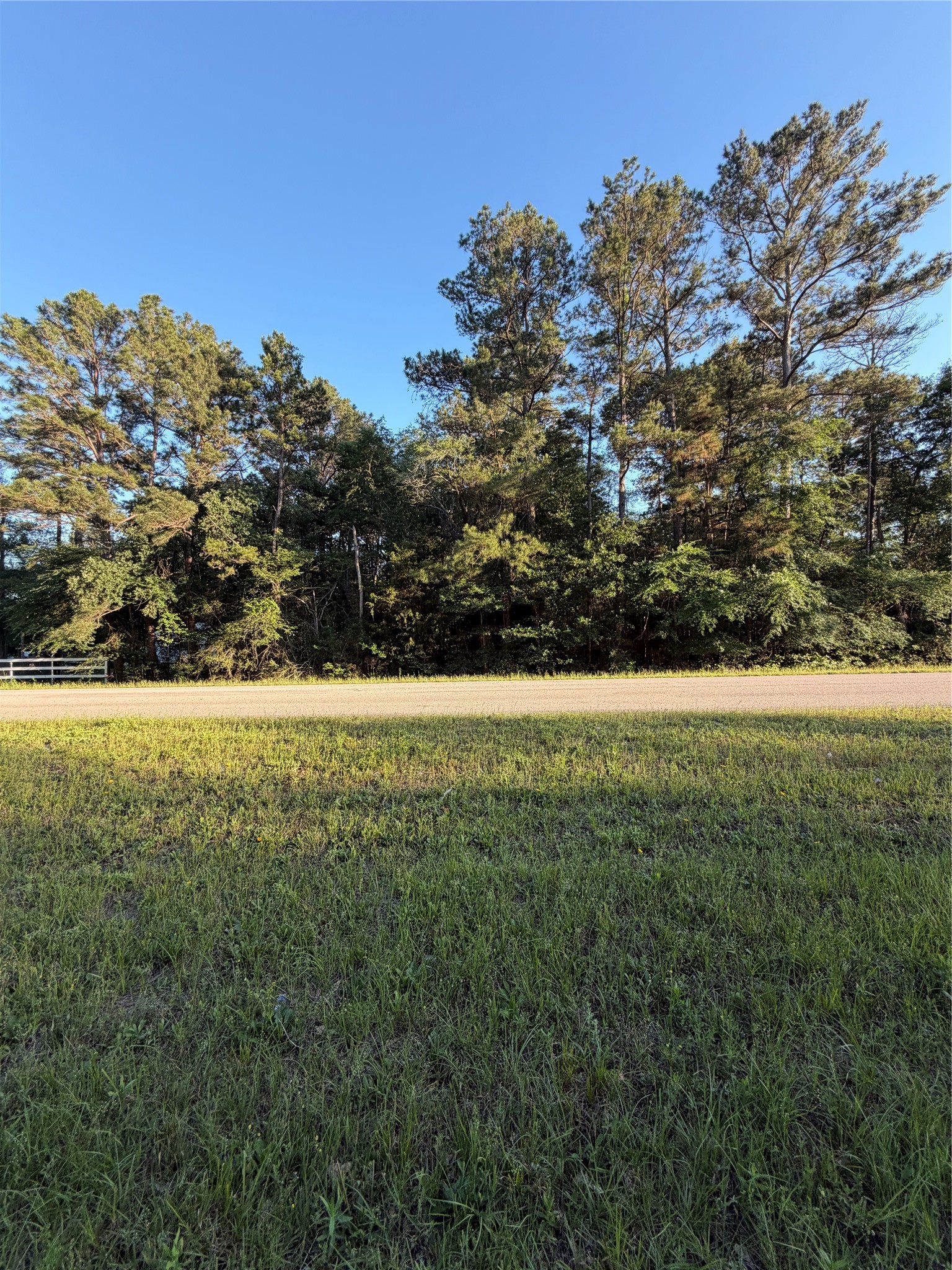 0 Reids Prairie Road Waller, TX 77484 - Photo 6 of 10 a view of outdoor space and yard