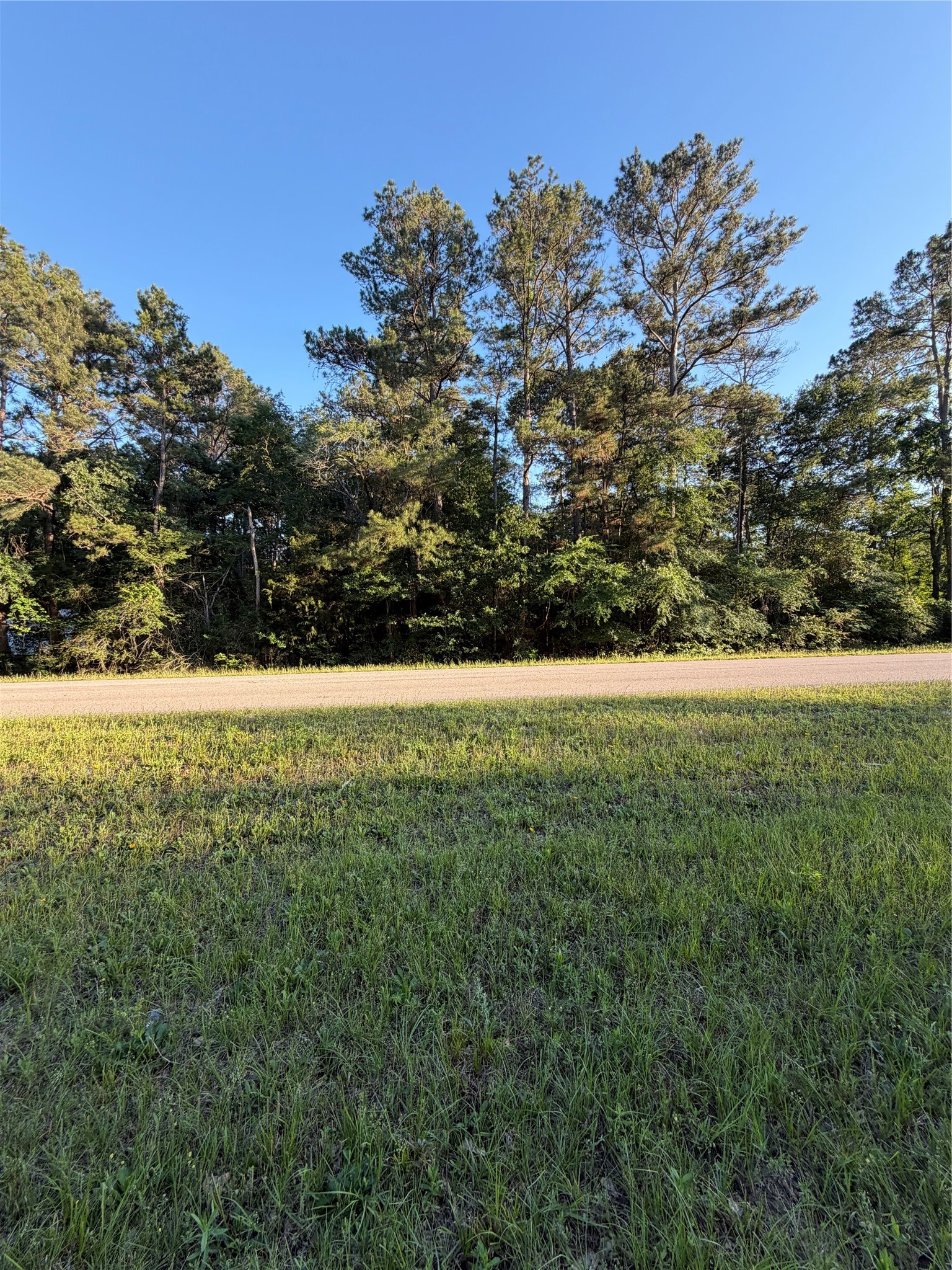0 Reids Prairie Road Waller, TX 77484 - Photo 7 of 10 a view of yard with green space