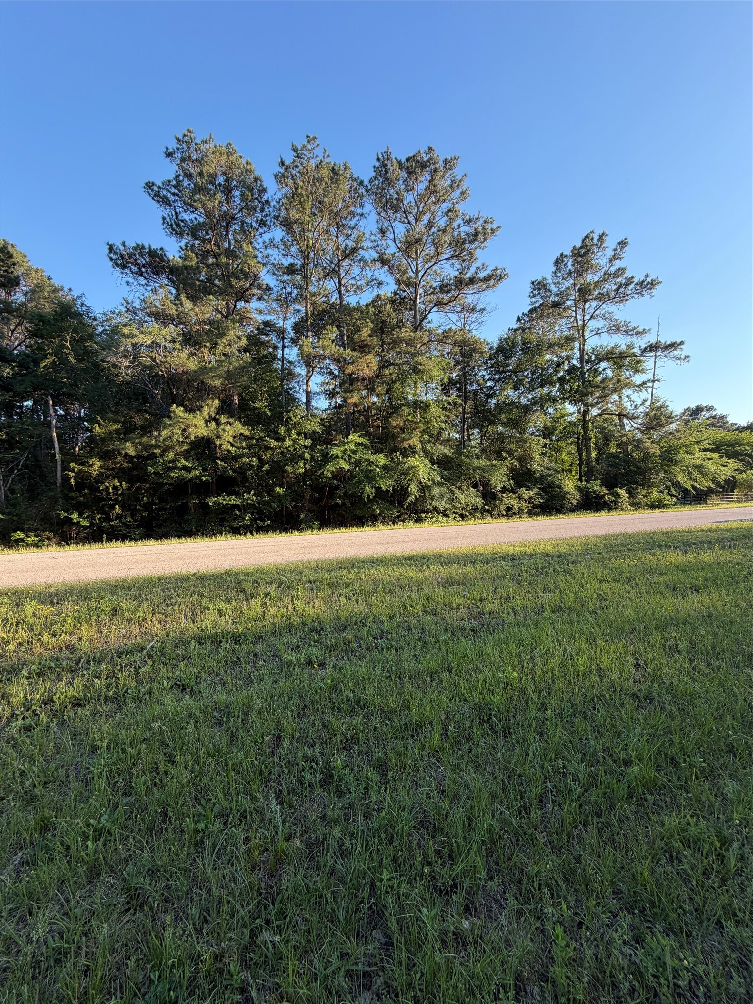 0 Reids Prairie Road Waller, TX 77484 - Photo 8 of 10 a view of yard with green space
