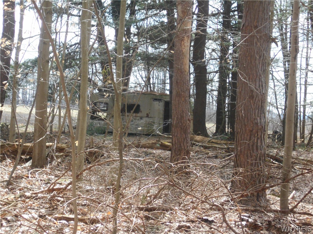 0 Genesee Road Lawtons, NY 14091 - Photo 31 of 34