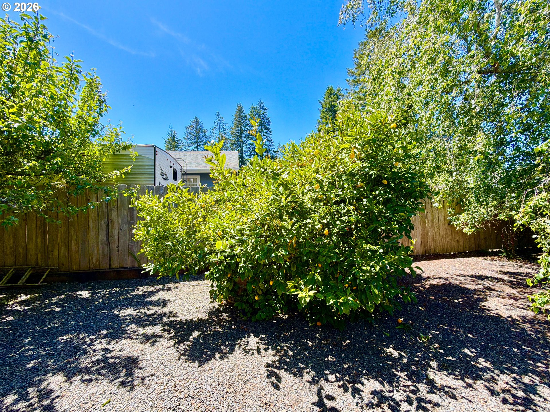 866 Jodee Lane Brookings, OR 97415 - Photo 10 of 39