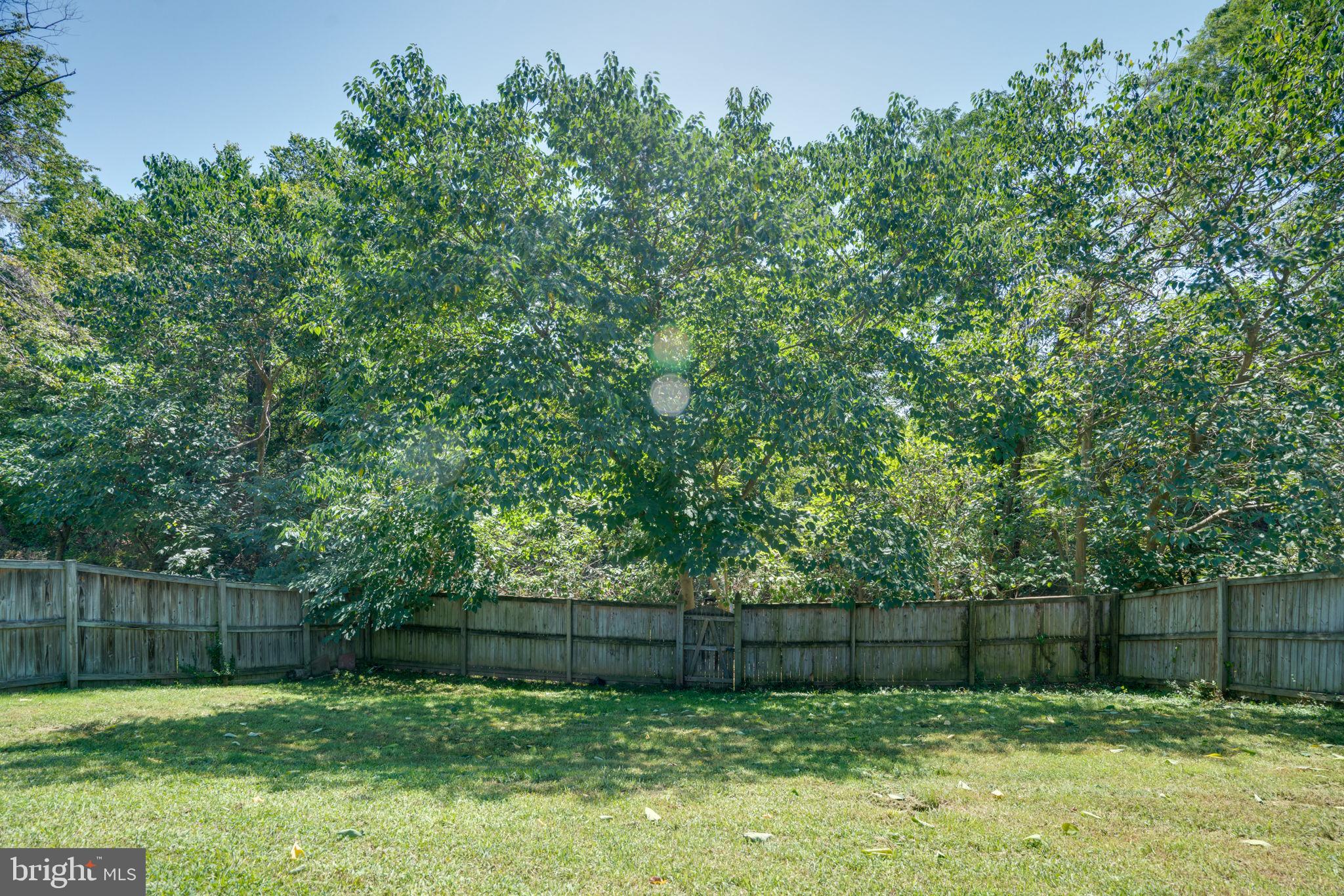 1907 High Timber Road Fort Washington, MD 20744 - Photo 28 of 37 Gallery Image 28