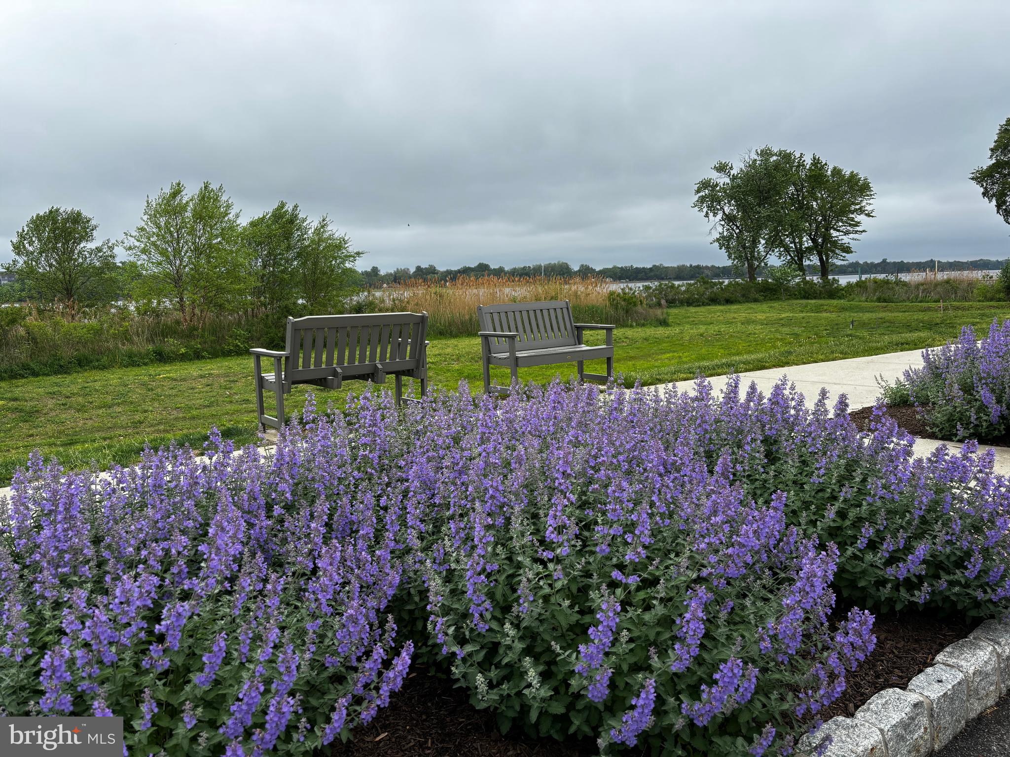 106 Prince George Street, Unit A Bensalem, PA 19020 - Photo 28 of 46 View of river from jogging/walking path
