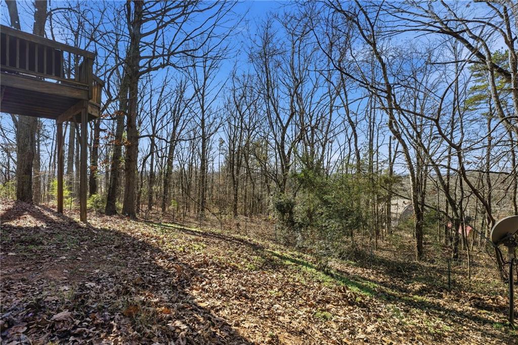 18 Ridgeview Court Southwest Cartersville, GA 30120 - Photo 24 of 31