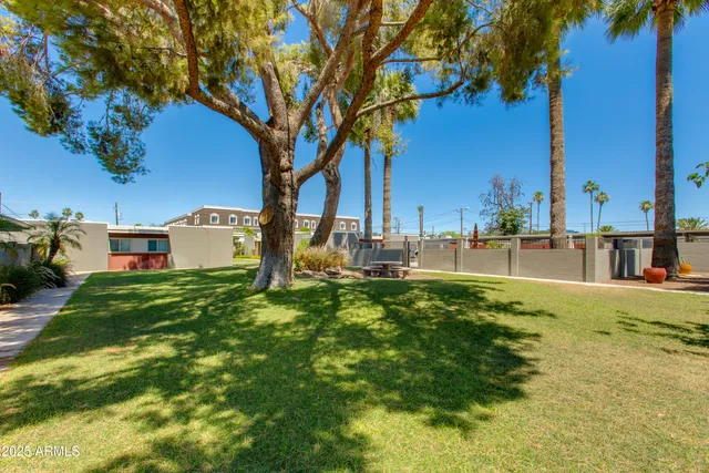 a view of a big yard with plants and large trees