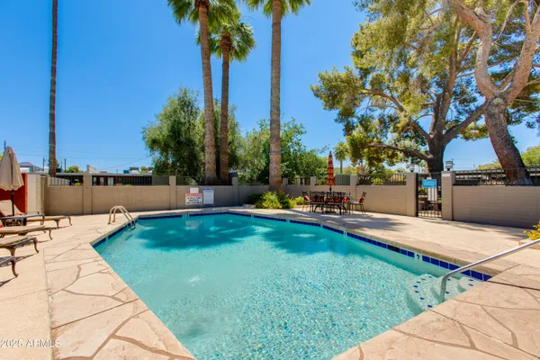 a view of a backyard with lawn chairs potted plants and palm tree