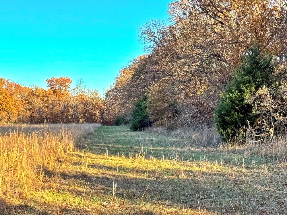 Tbd South 525 Road El Dorado Springs, MO 64744 - Photo 5 of 25