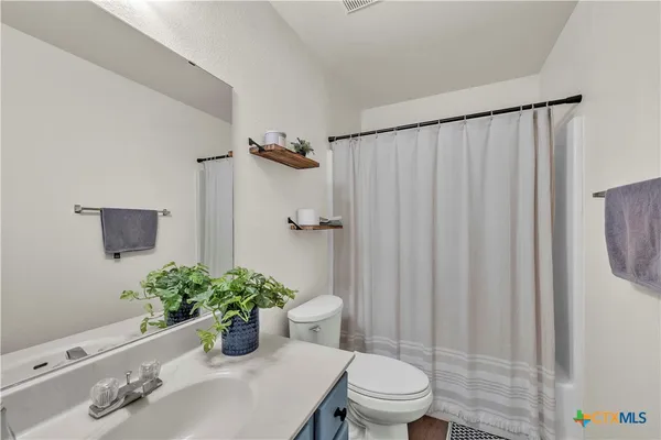 a bathroom with a sink a toilet and shower curtain