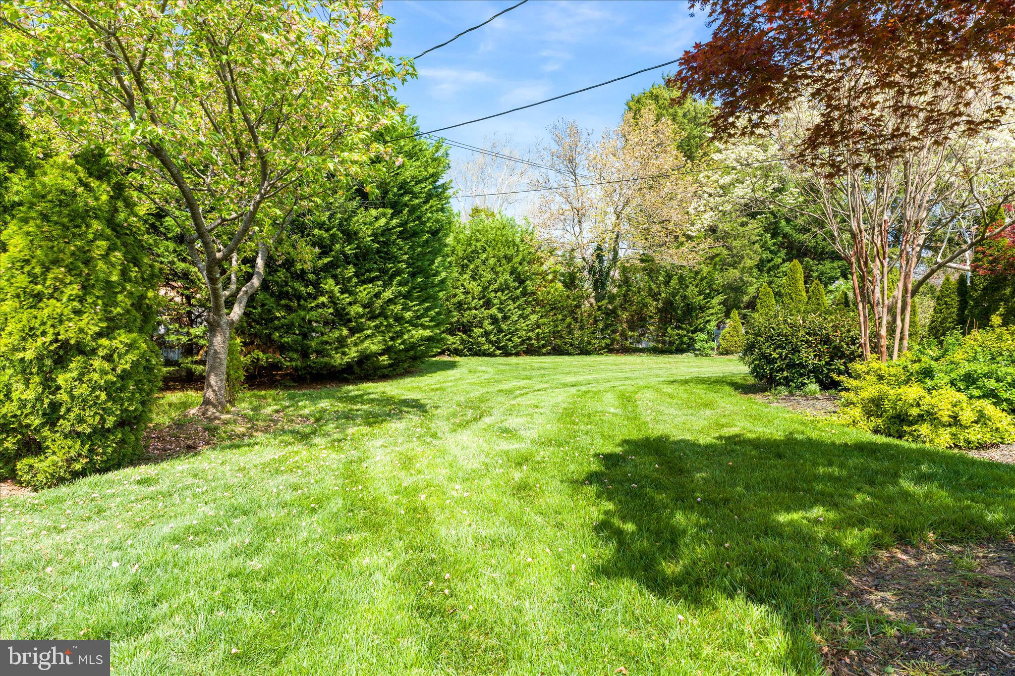 417 Biggs Avenue Frederick, MD 21702 - Photo 52 of 57 a view of yard with green space
