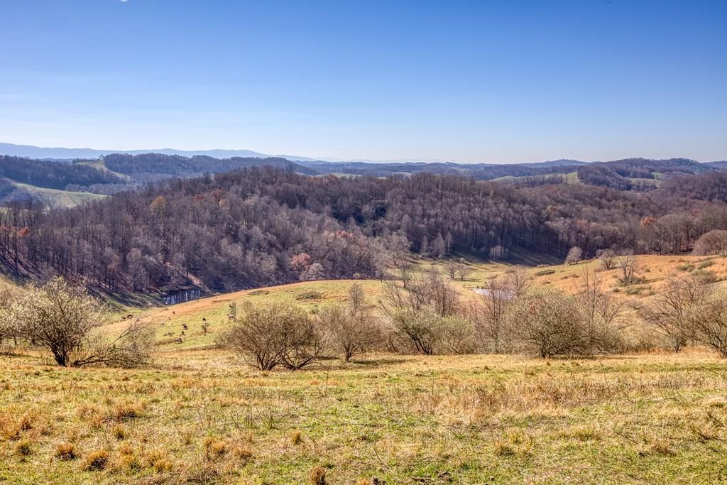 Tbd Chip Ridge Road, Unit 19 & 20 Abingdon, VA 24210 - Photo 2 of 10 chipridge1