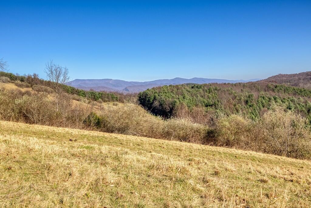 Tbd Chip Ridge Road, Unit 19 & 20 Abingdon, VA 24210 - Photo 3 of 10 chipridge2