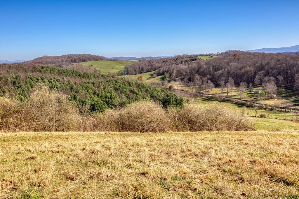 Tbd Chip Ridge Road, Unit 19 & 20 Abingdon, VA 24210 - Photo 5 of 10 chipridge4