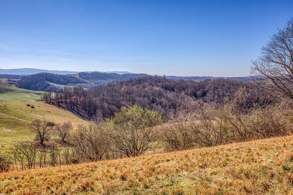 Tbd Chip Ridge Road, Unit 19 & 20 Abingdon, VA 24210 - Photo 8 of 10 chipridge7