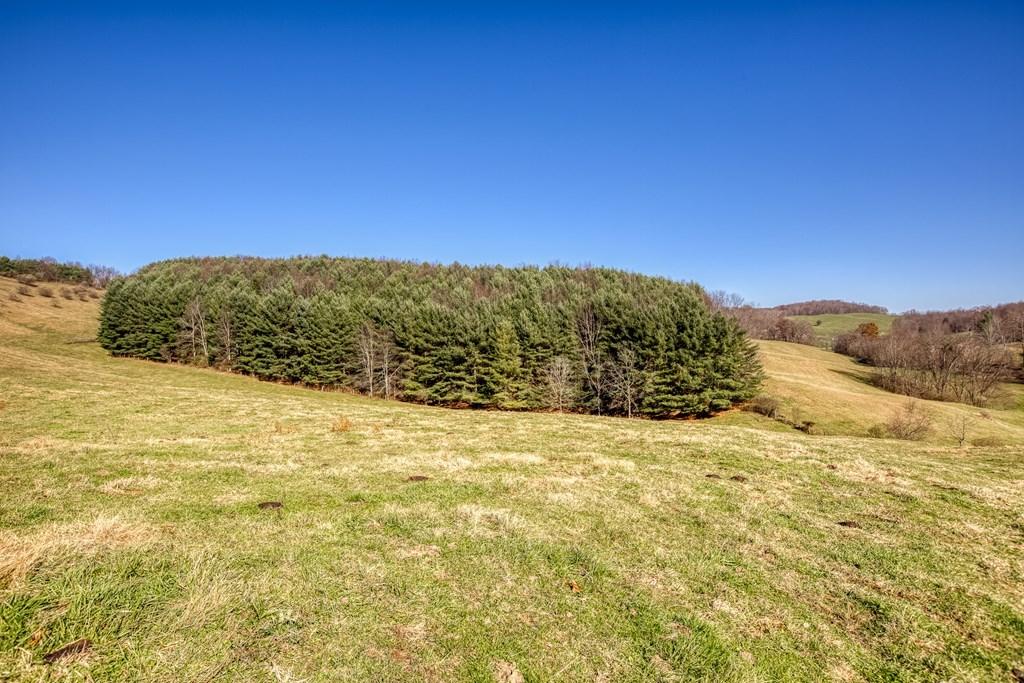 Tbd Chip Ridge Road, Unit 19 & 20 Abingdon, VA 24210 - Photo 10 of 10 chipridge9