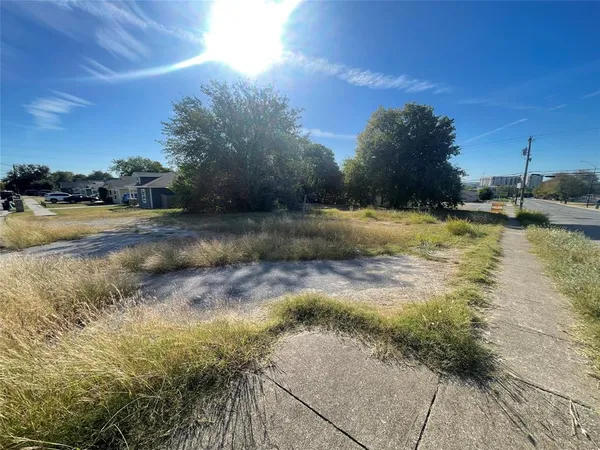 a view of a yard with a tree