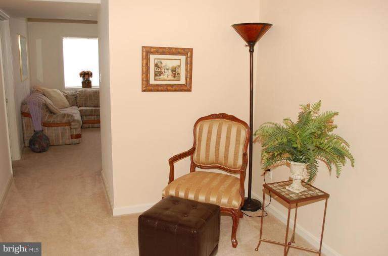 5060 Jericho Road Columbia, MD 21044 - Photo 21 of 25 Finished Lower Level