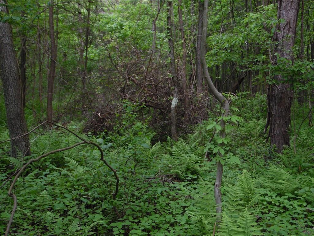 0 Howes Run Road Sarver, PA 16055 - Photo 11 of 23 Cover