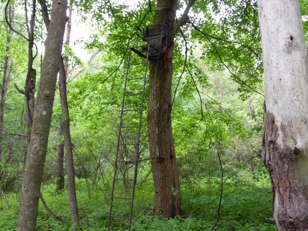 0 Howes Run Road Sarver, PA 16055 - Photo 12 of 23 The Ladder Stand is not included in the sell price but it is in a prime spot. Archery hunt in your backyard. Plenty of deer trails, and scrapes converge at this location.