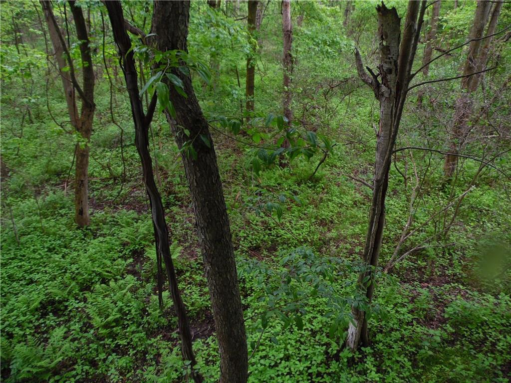 0 Howes Run Road Sarver, PA 16055 - Photo 13 of 23 View from Tree Stand
