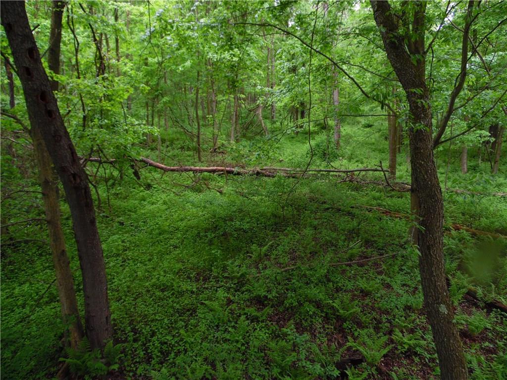 0 Howes Run Road Sarver, PA 16055 - Photo 14 of 23 View From Tree Stand