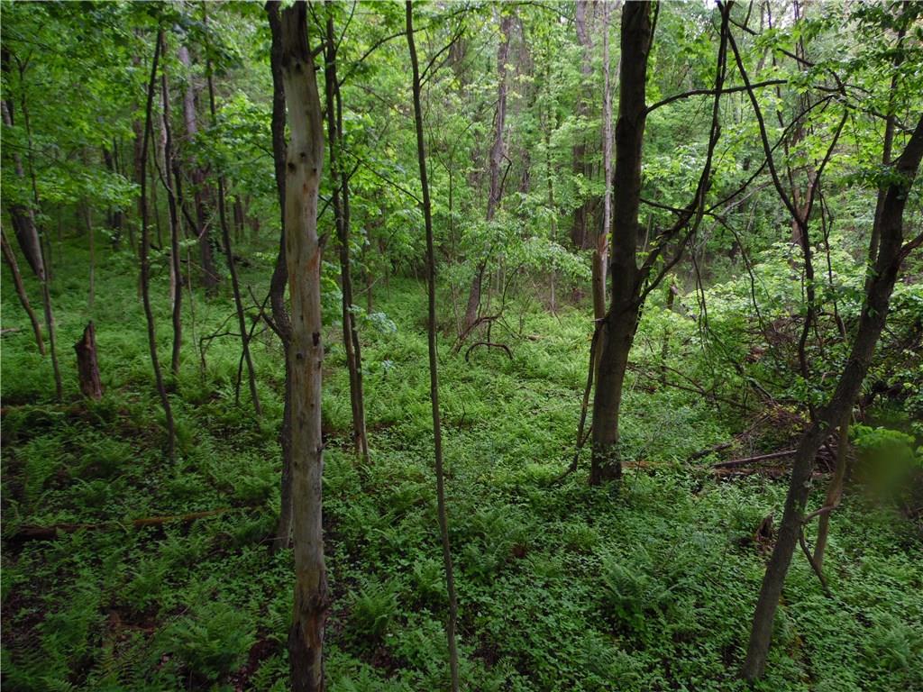 0 Howes Run Road Sarver, PA 16055 - Photo 15 of 23 View From Tree Stand