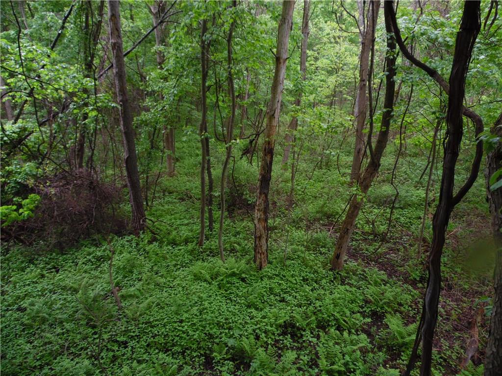 0 Howes Run Road Sarver, PA 16055 - Photo 17 of 23 Gallery Image 17