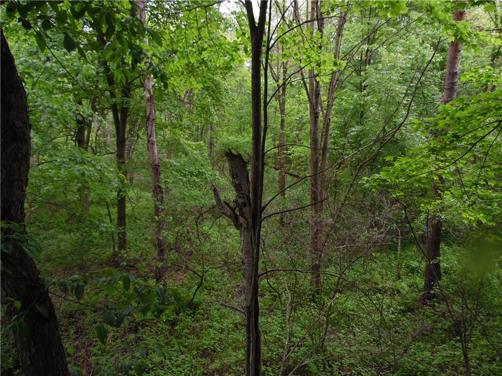 0 Howes Run Road Sarver, PA 16055 - Photo 18 of 23 Gallery Image 18