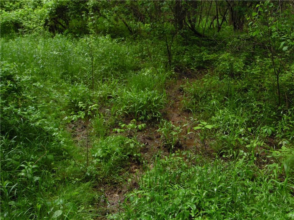 0 Howes Run Road Sarver, PA 16055 - Photo 6 of 23 Spring on the property