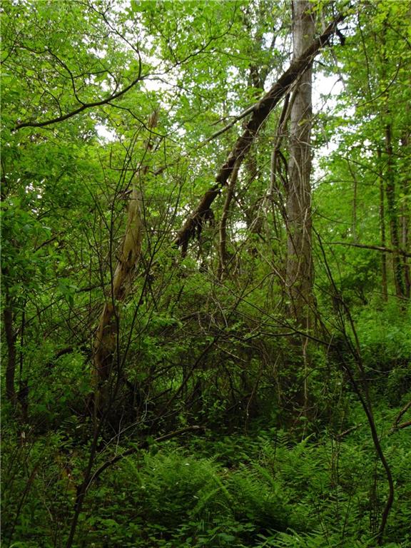 0 Howes Run Road Sarver, PA 16055 - Photo 7 of 23 Blow down cover
