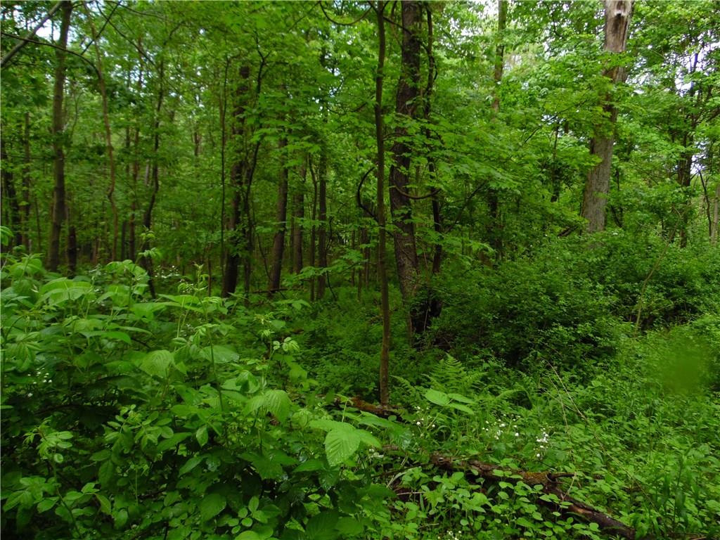 0 Howes Run Road Sarver, PA 16055 - Photo 8 of 23 Gallery Image 8