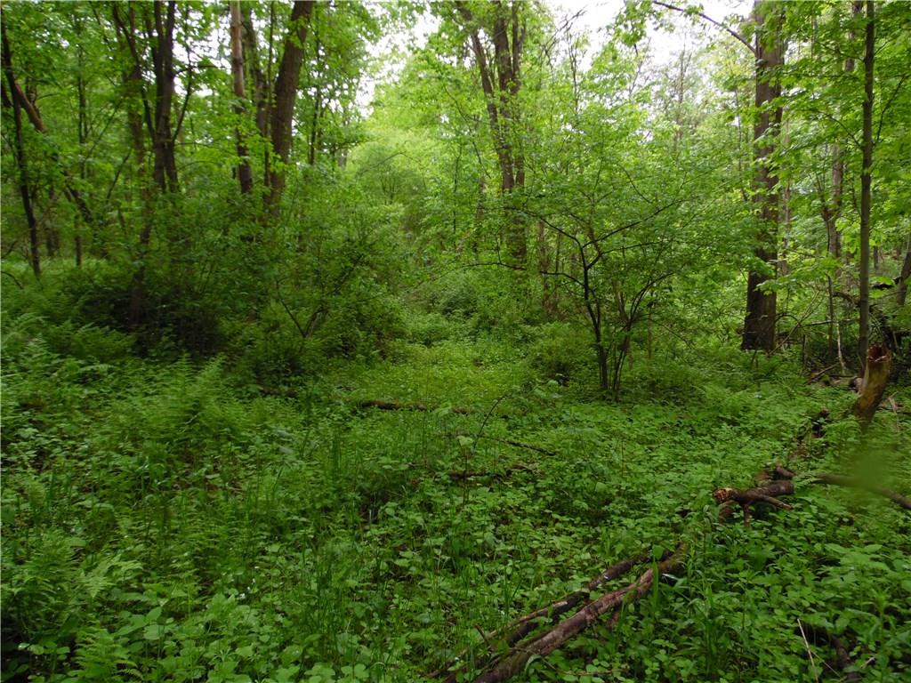 0 Howes Run Road Sarver, PA 16055 - Photo 9 of 23 Gallery Image 9