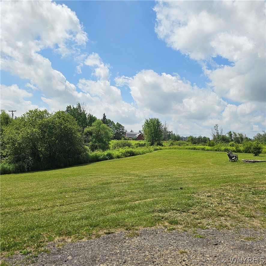 10248 Clarksburg Road North Collins, NY 14057 - Photo 31 of 35