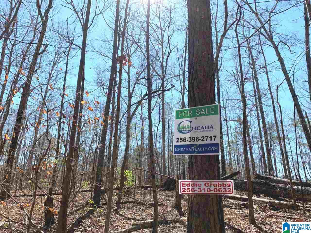 Mountain Street, Unit 12 Heflin, AL 36264 - Photo 3 of 5