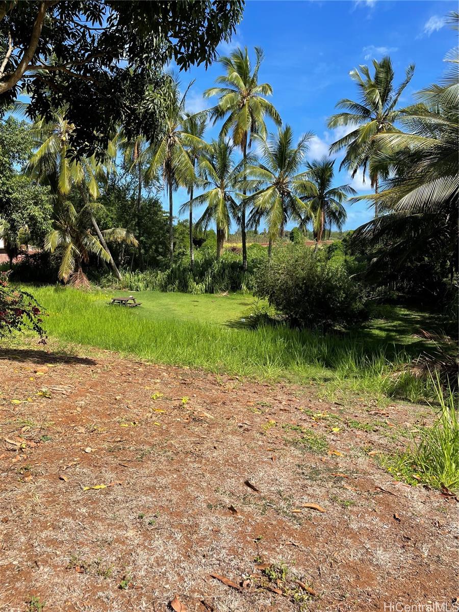 66-346 Paalaa Road Haleiwa, HI 96712 - Photo 12 of 12