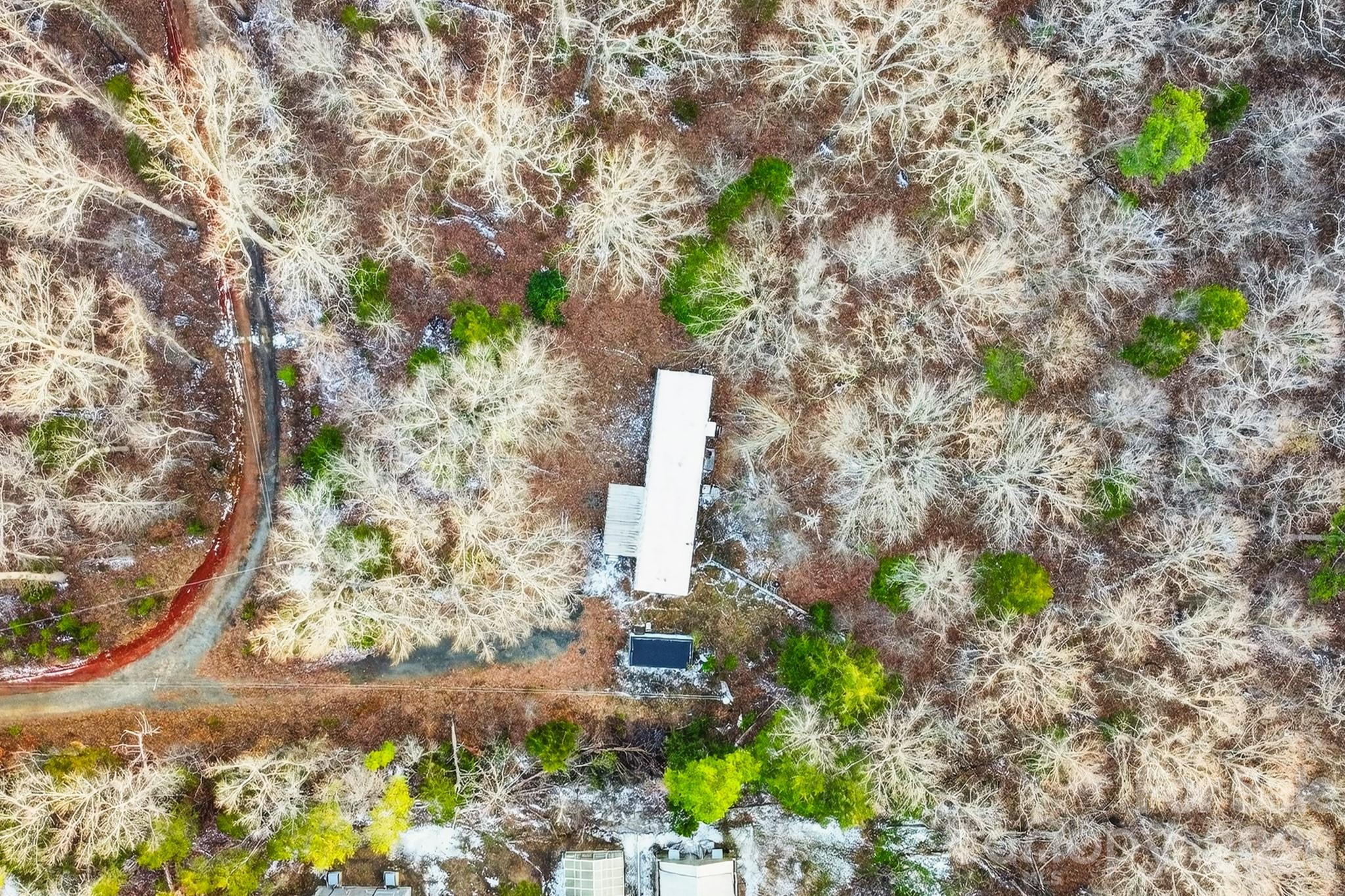 a yard with a tree in the back