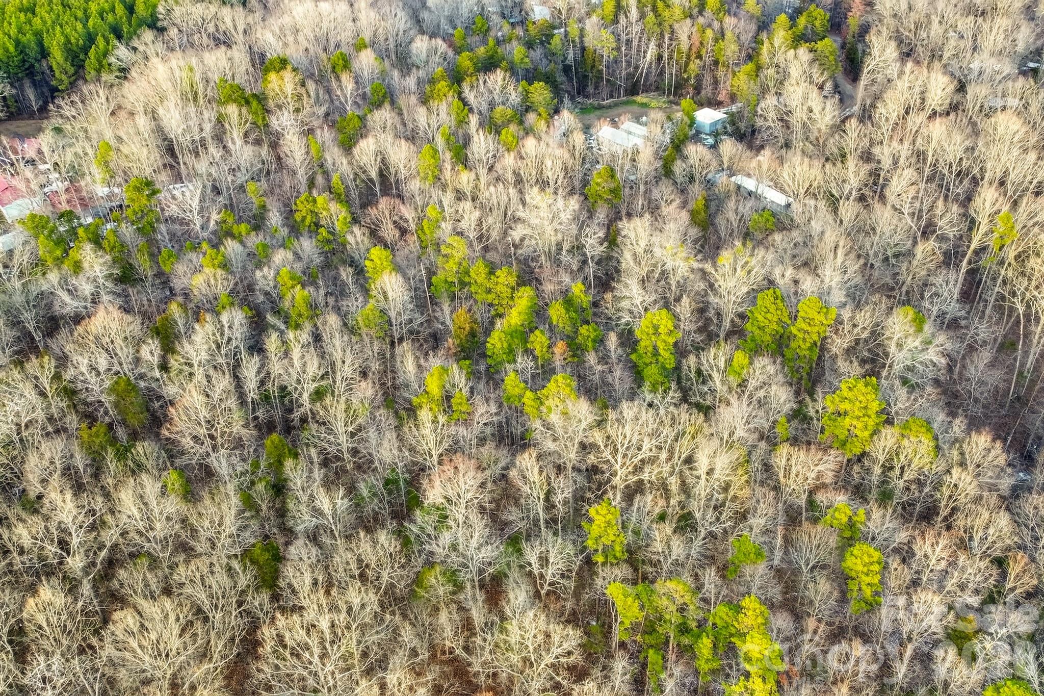 1880 Barkley Road Midland, NC 28107 - Photo 8 of 14 Gallery Image 8
