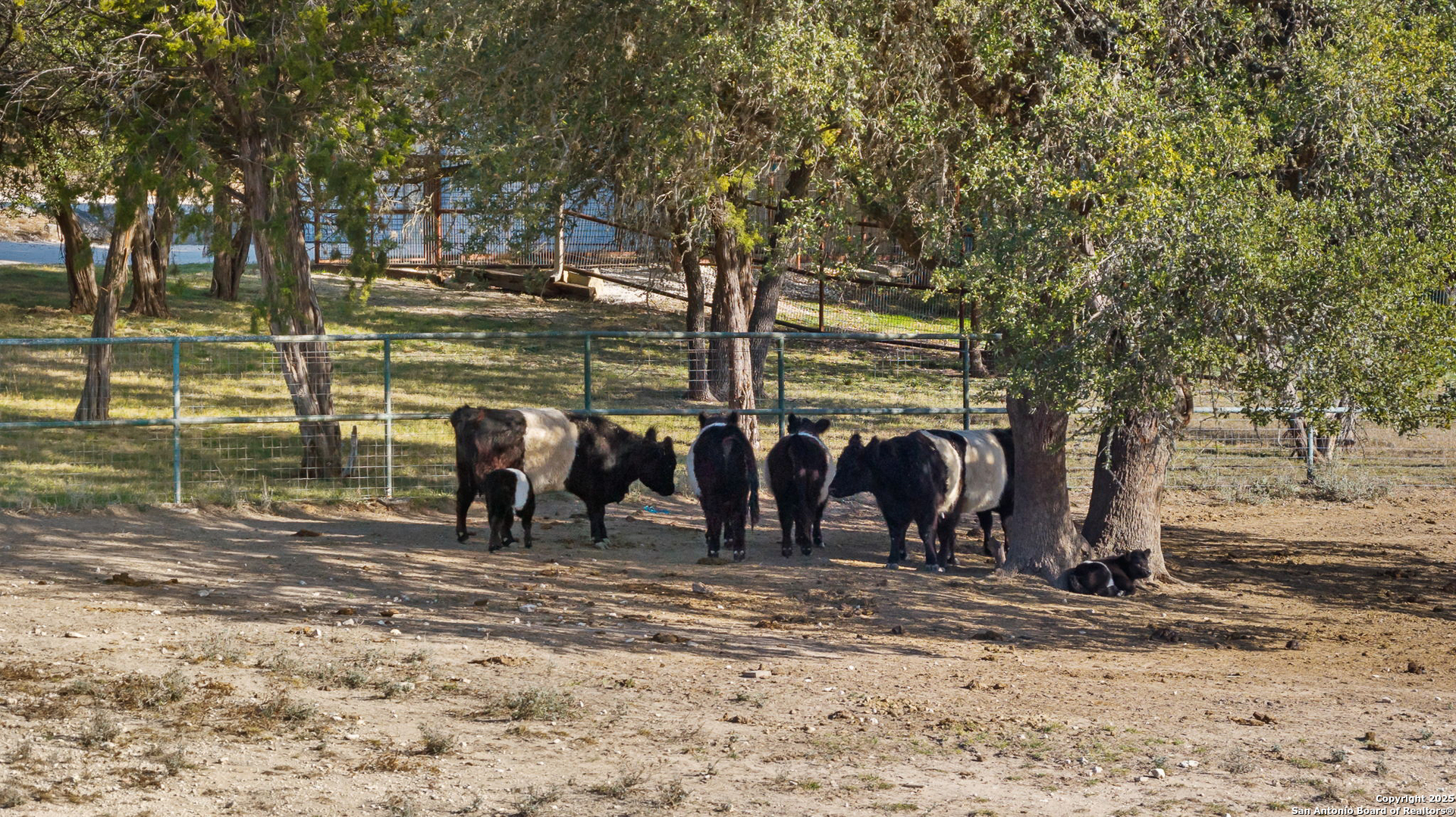 115 Spanish Pass Road Boerne, TX 78006 - Photo 48 of 50 a view of a yard with wooden fence