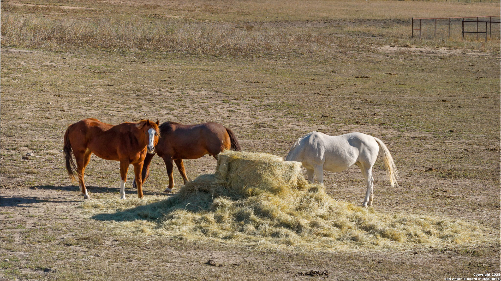 115 Spanish Pass Road Boerne, TX 78006 - Photo 49 of 50 a view of roof with two chairs