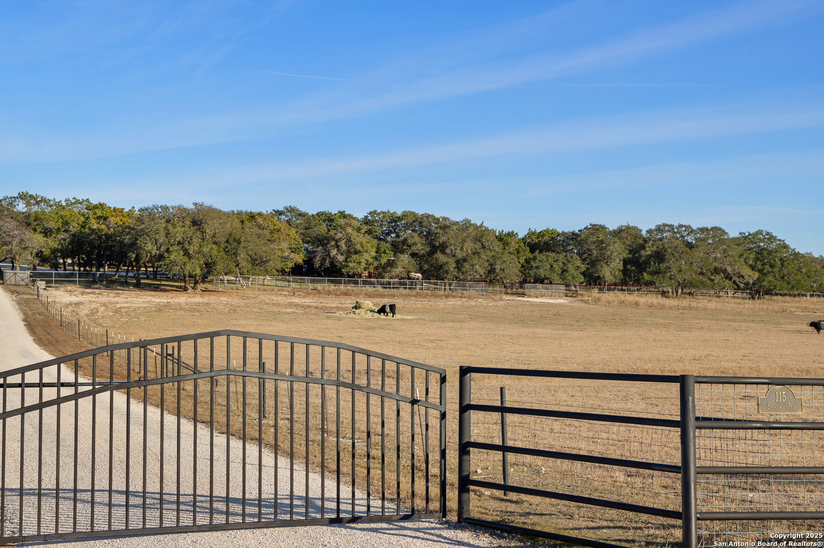 115 Spanish Pass Road Boerne, TX 78006 - Photo 50 of 50 a view of swimming pool and mountain