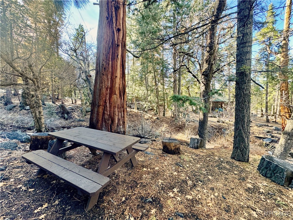 12 Barton Flats Road Angelus Oaks, CA 92305 - Photo 16 of 20 a view of a backyard with sitting area