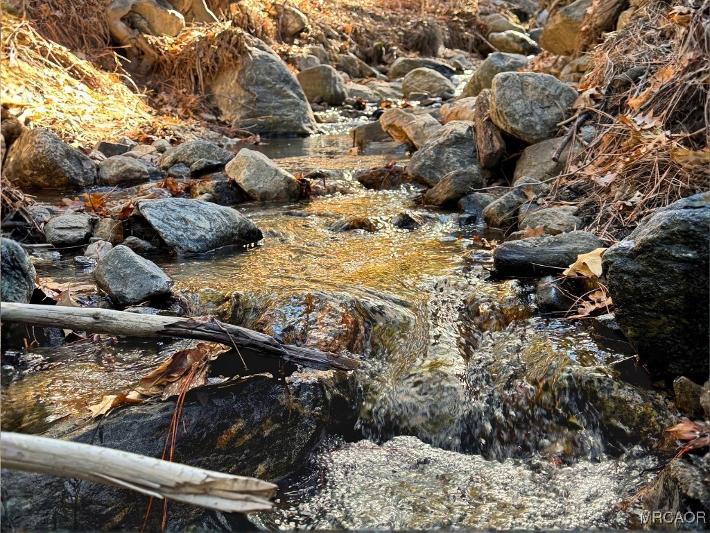 12 Barton Flats Road Angelus Oaks, CA 92305 - Photo 17 of 20 a view of outdoor space