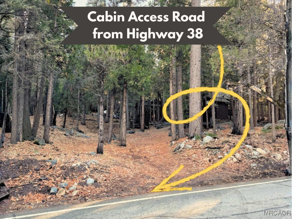 12 Barton Flats Road Angelus Oaks, CA 92305 - Photo 18 of 20 a backyard of a house with barbeque oven