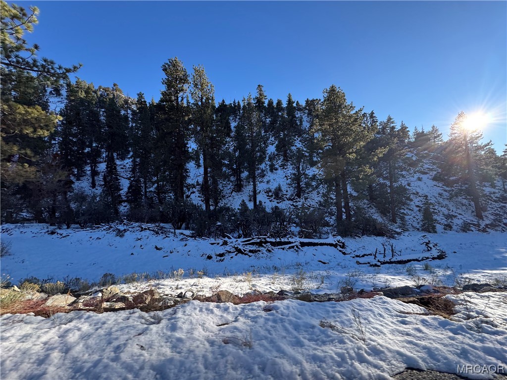12 Barton Flats Road Angelus Oaks, CA 92305 - Photo 19 of 20 a view of a yard with a snow in the background