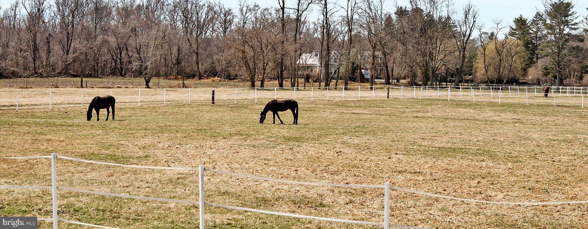 20 Chest Crosswicks Road Chesterfield, NJ 08515 - Photo 24 of 24
