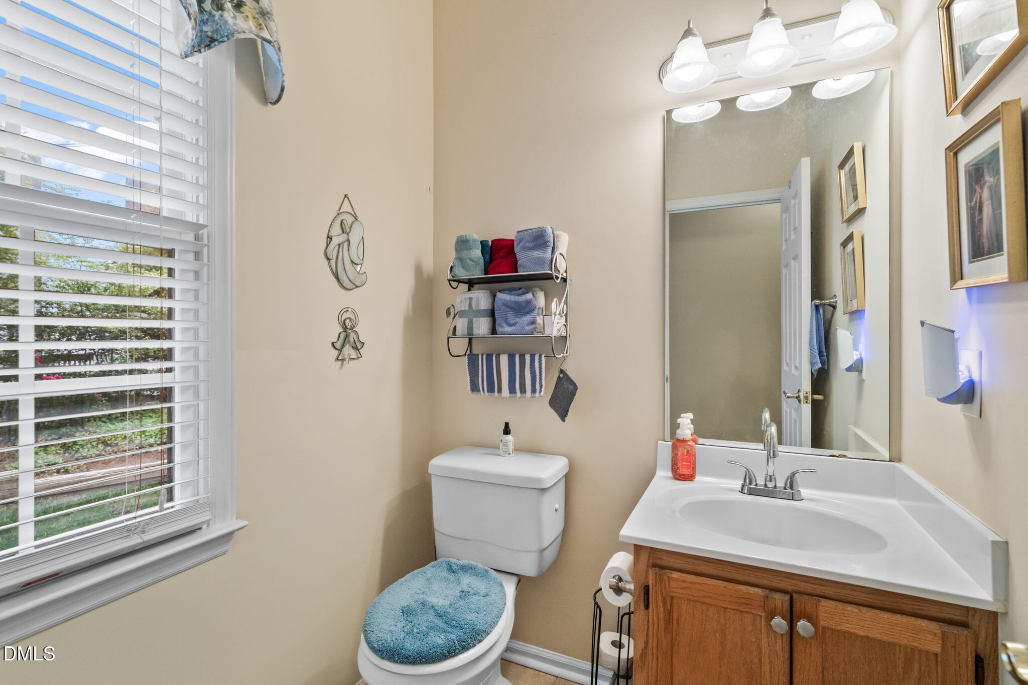 9104 Deerland Grove Drive Raleigh, NC 27615 - Photo 20 of 42 Powder Room