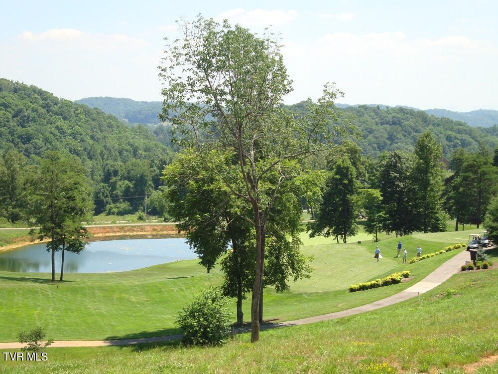 1226 Ridgetop Trail, Unit 8 Kingsport, TN 37664 - Photo 13 of 48 Crocket Ridge Golf Course Photos-3