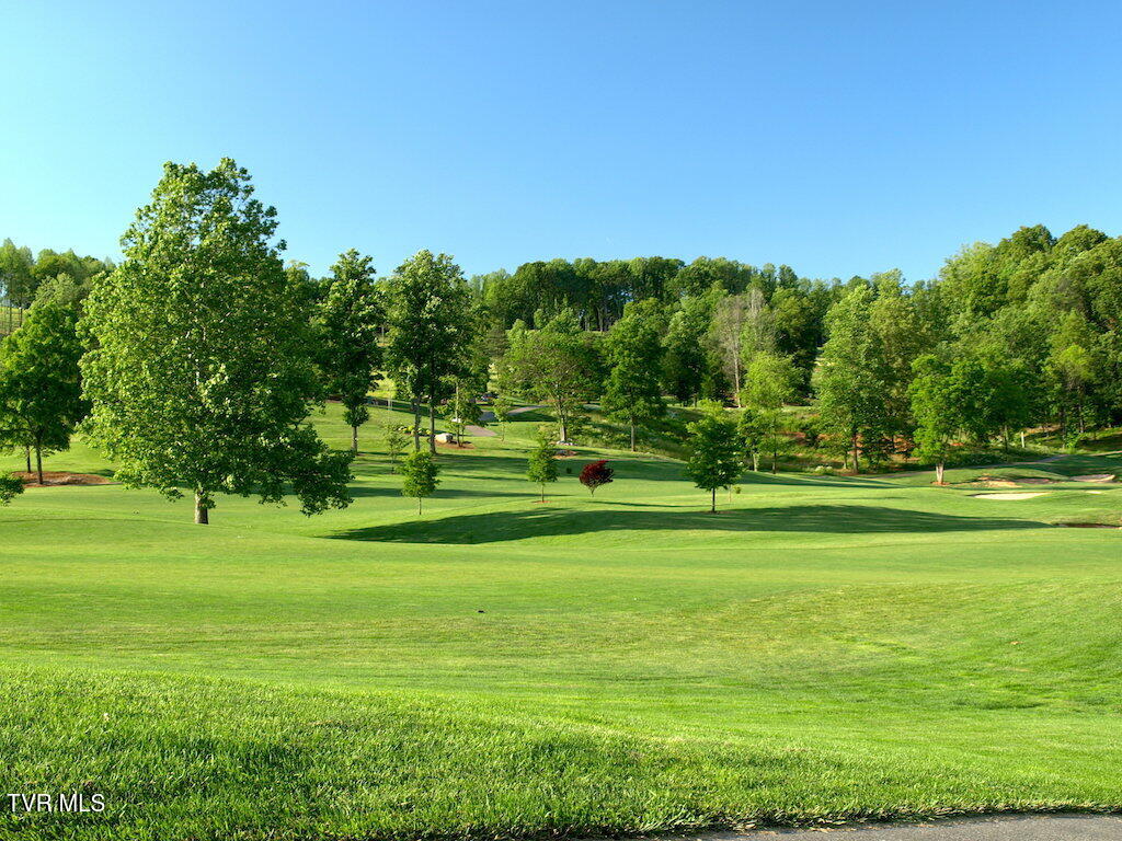 1226 Ridgetop Trail, Unit 8 Kingsport, TN 37664 - Photo 14 of 48 Crocket Ridge Golf Course Photos-4
